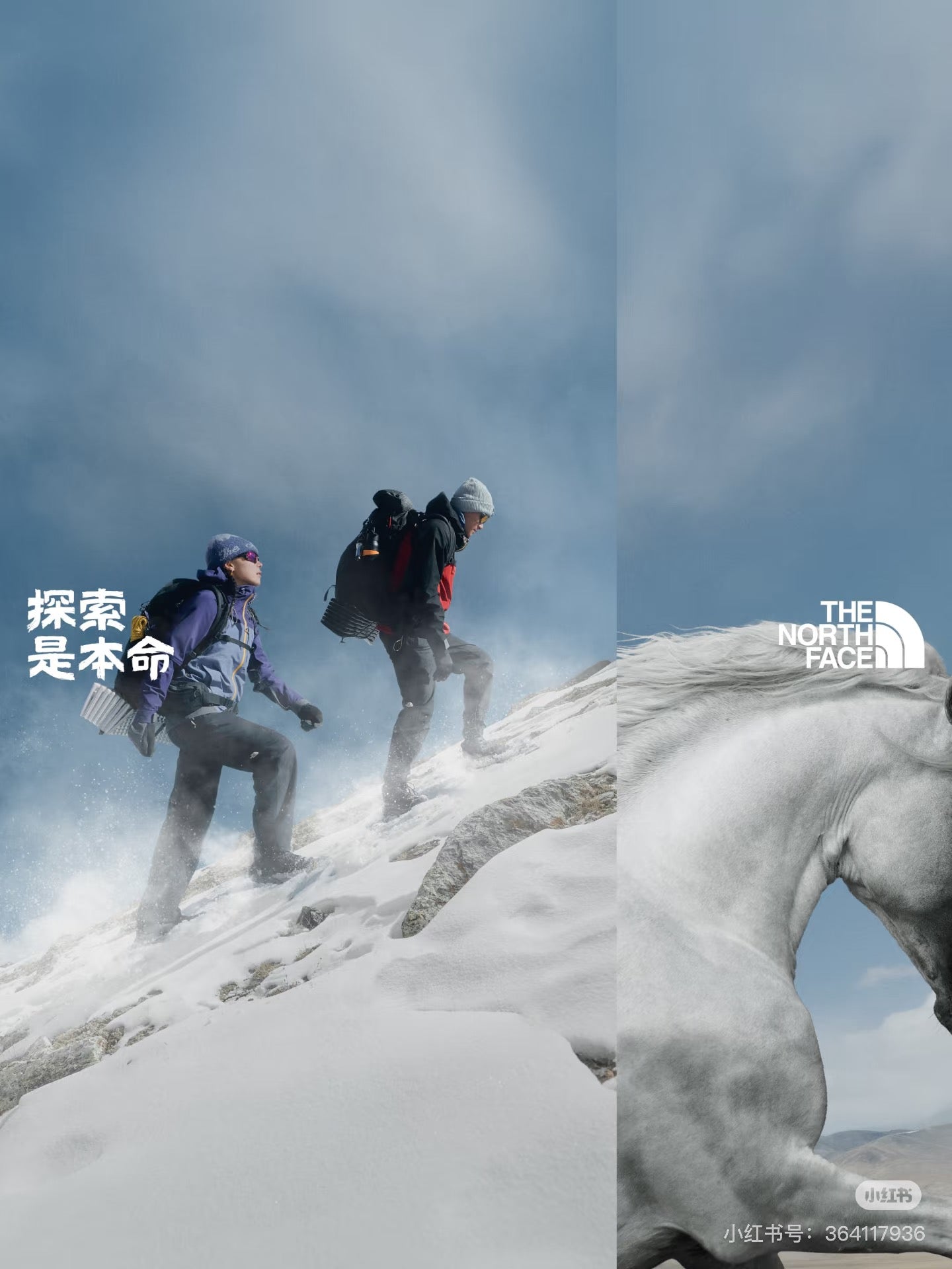 When Brand Narratives Gallop into the Year of the Horse: Decoding Standout Chinese New Year Campaigns